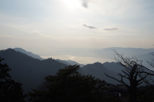 AC9FFBDE-A99B-494C-9674-CB206ED91750