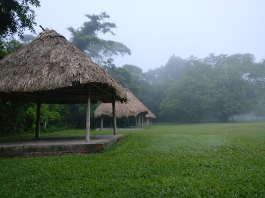 C9226DB7-8951-4F6B-948B-1CBBFF0FD69D