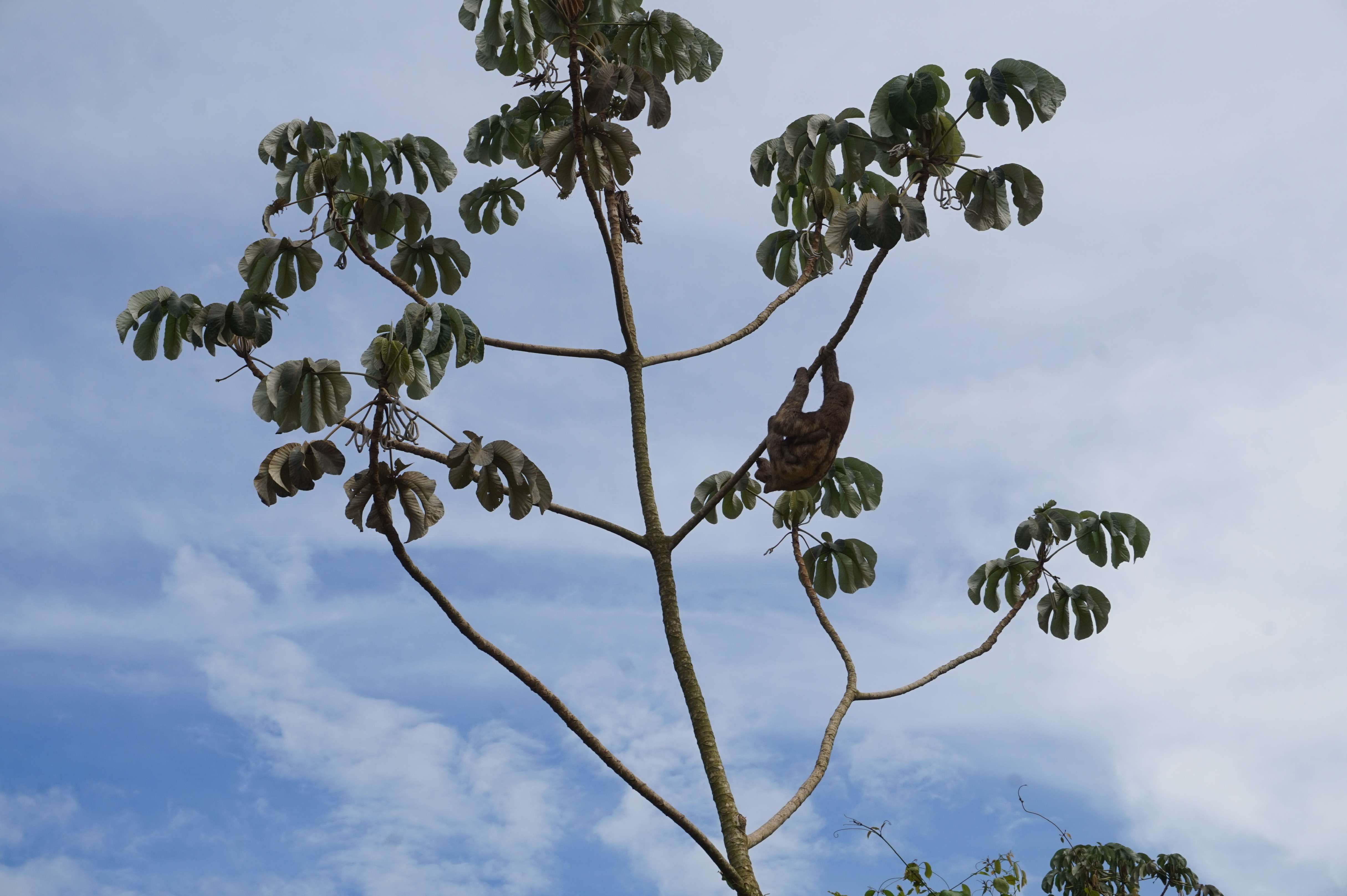 46C37461-06CF-4A93-AC63-1ABAC93DB7D1