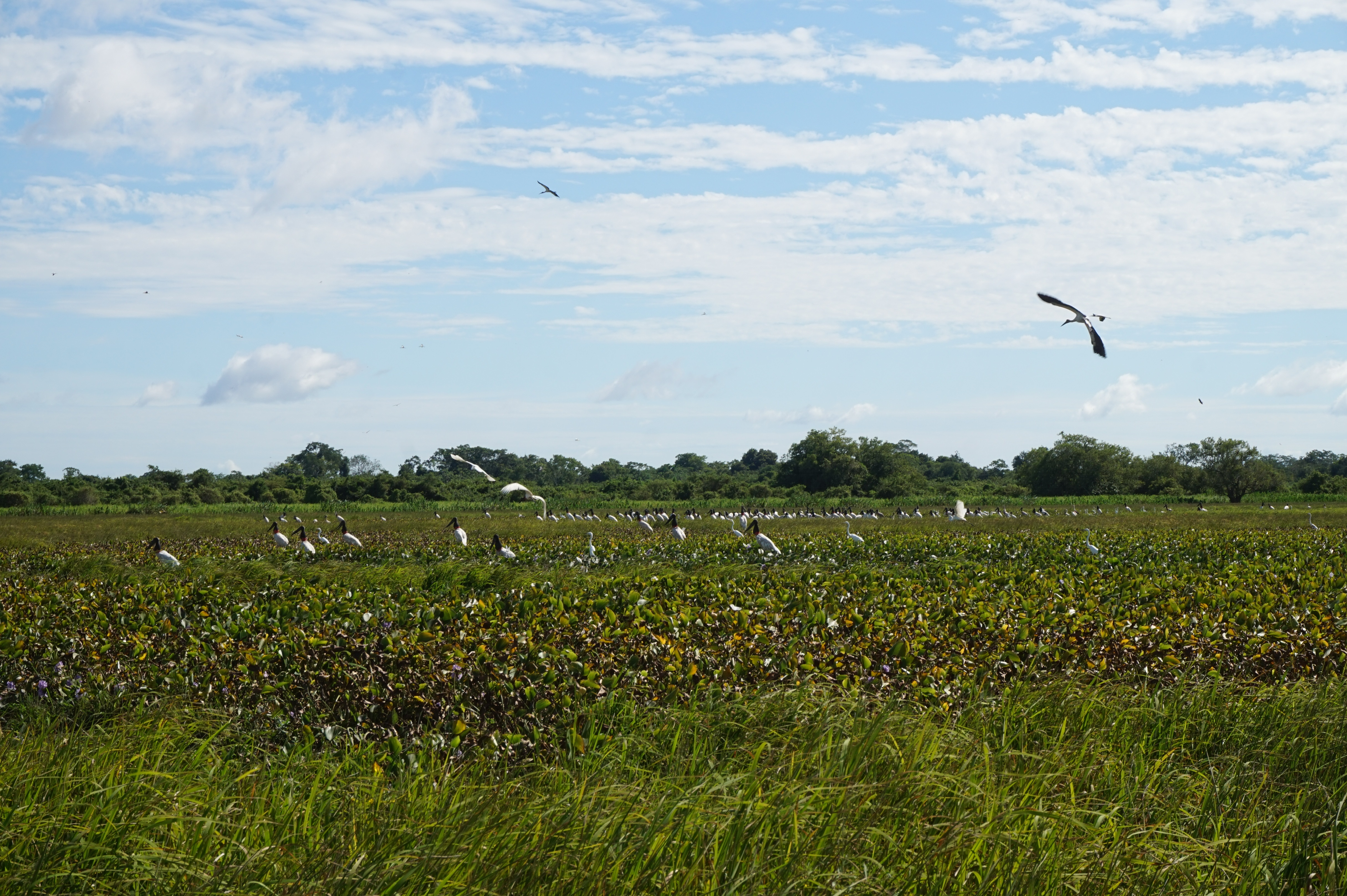 EC842DF9-2541-4FE3-B108-FB4A6EDED3B2