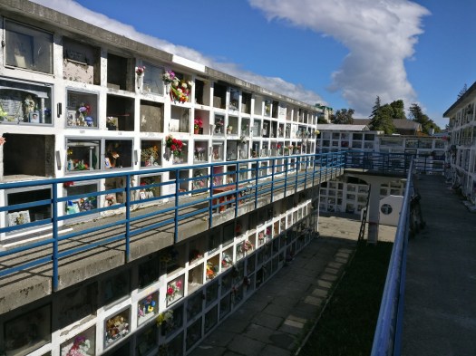 EEBED66E-CAFF-45D7-8195-04288FF69762